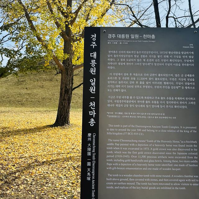 경주 대릉원안에 위치한 고분 천마총 