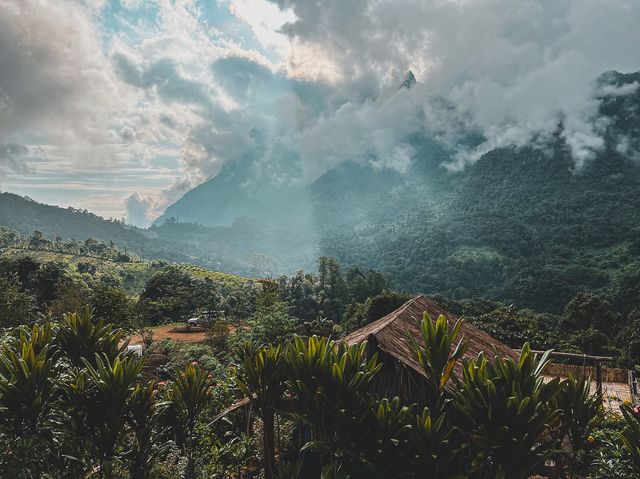 นอนดูหมอกดอยหลวงเชียงดาว 3 วัน 2 คืน ⛰️✨