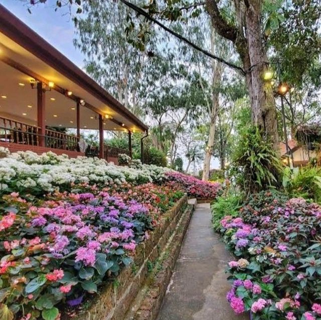 Dining in flower paradise