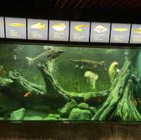 Maritime Museum Macao 