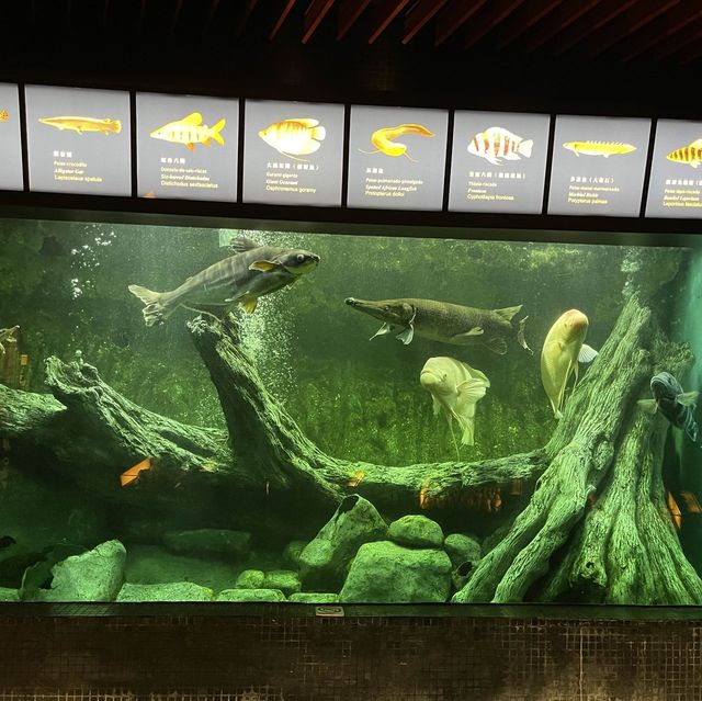 Maritime Museum Macao 