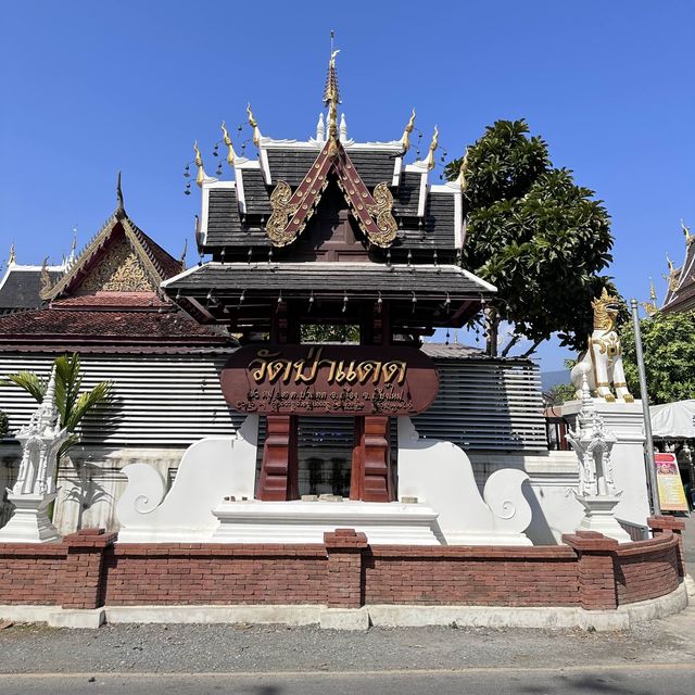 วัดป่าแดด สายมูห้ามพลาด ขอพรพระพิฆเนศ เสริมดวง