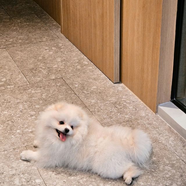 พักผ่อนสบายๆ ~ นอนดุสิตดีทูหัวหิน