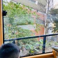 穿越石屎森林上山頂👀賞日落🌞