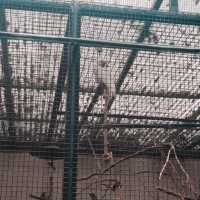 嘉道理農場暨植物園