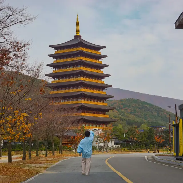 황룡원 사진 남기는 숨은명소 꿀팁✔️