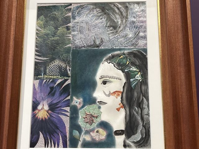 大專院校派免費飛😱M+ 草間彌生: 一九四五年至今 展覽～