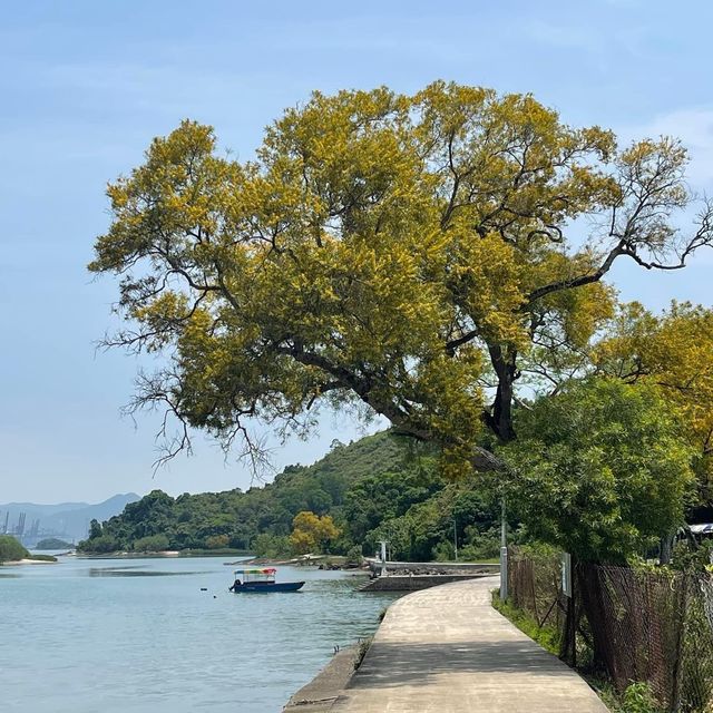 遊山玩水系列‼️‼️‼️粉嶺鹿頸遠望對岸👍🏻容易郊遊路線