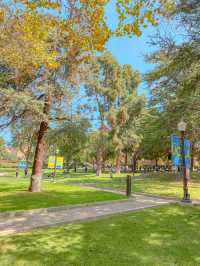 UCLA 마스코트 곰동상🐻그리고 스토어 투어까지🛍️