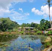 Rabbit Hole At Phuket 