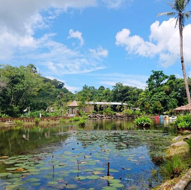 Rabbit Hole At Phuket 