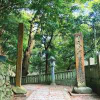 【香川】785段の石段登った先にある神社⛩️