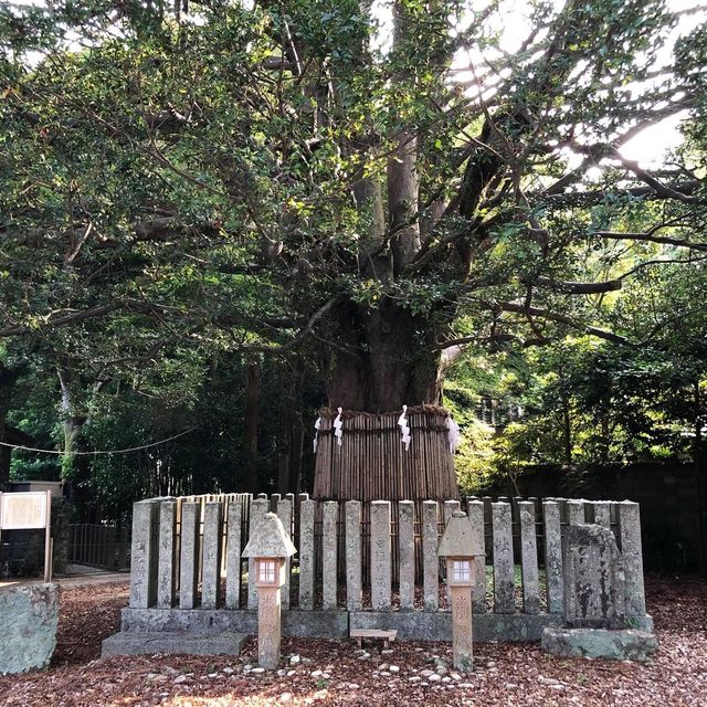 和歌山縣熊野速玉大社❤️世界文化遺產😗神明最初降臨之地