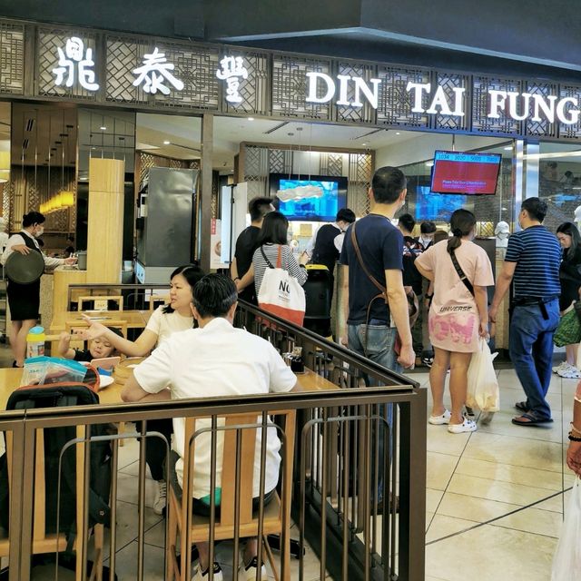 A sumptuous lunch at Din Tai Fung!