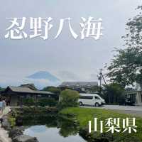 【忍野八海】富士山の湧水でできた8つの池
