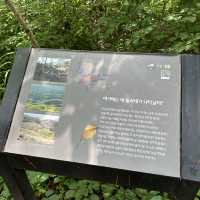 自然に出来た韓国地図！？すごすぎた！