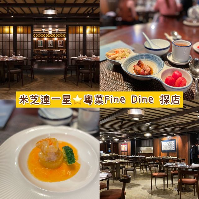 香港佐敦｜米芝連一星粵菜探店⭐️🍴