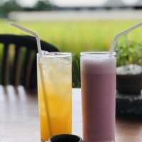 烏布田園中的平價景觀小餐廳：The Tejas Warung