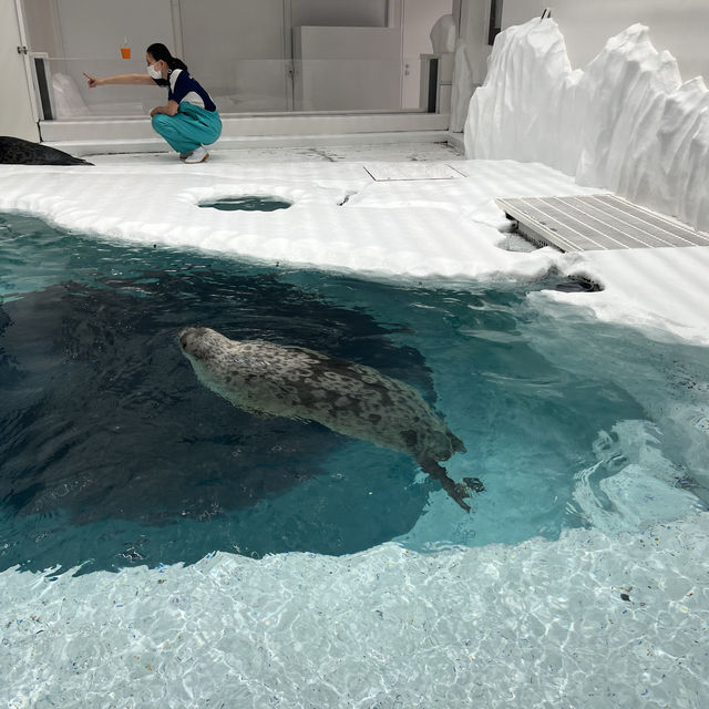 老少皆宜的海遊館🌊