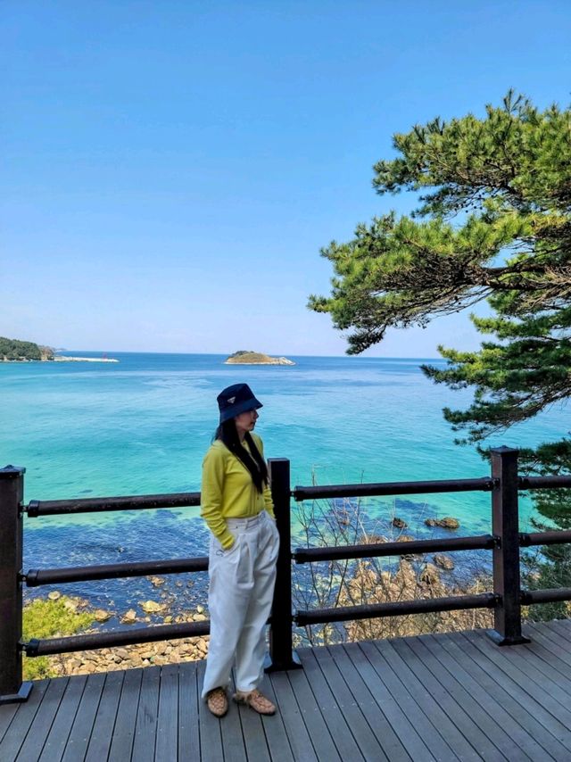 고성의 아름다운 화진포 해변의 볼거리🩵