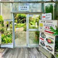 【熱川バナナワニ園】たくさんの熱帯植物に癒される
