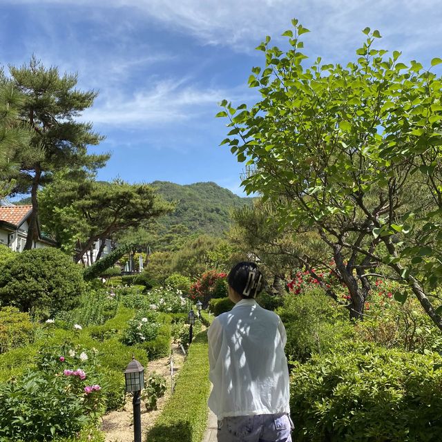 금산의 알프스, 하늘물빛정원 ✨