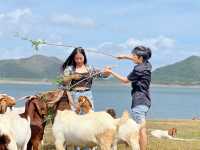 เขื่อนปราณบุรี ประจวบฯ