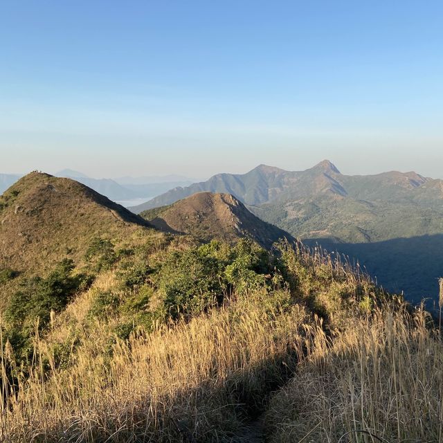 香港🇭🇰 ｜周末行山訪芒草海🌾 - 黃牛山⛰️
