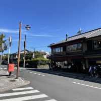 【京都府】人気の竹林の小径をのんびりお散歩！
