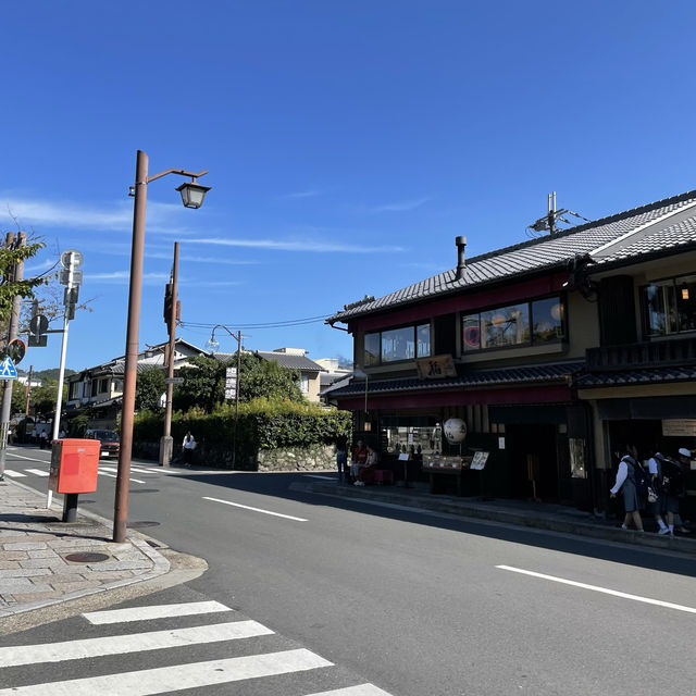 【京都府】人気の竹林の小径をのんびりお散歩！