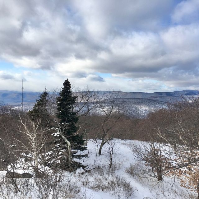 A hike up Overlook Mountain and Fire Tower