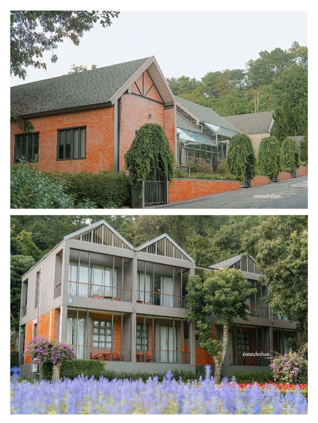 ให้ดอกไม้และขุนเขาโอบกอดเราที่ "Flora Creek"