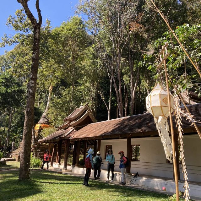 นั่งสมาธิธรรมชาติบำบัด ที่วัดผาลาด