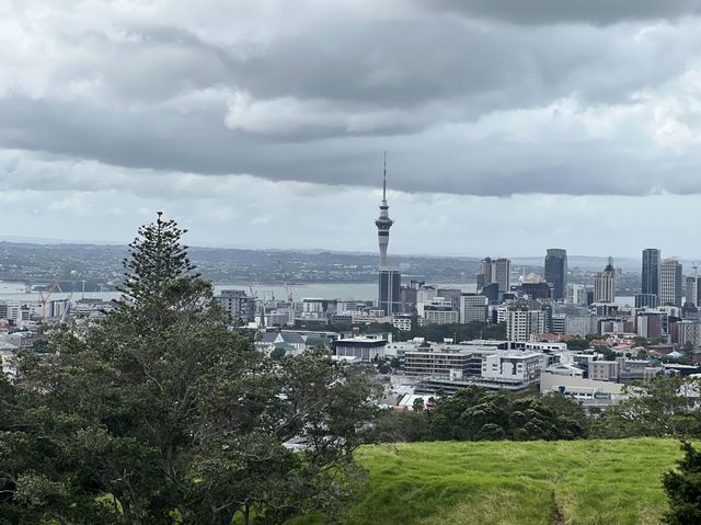 紐西蘭奧克蘭最高火山｜Mount Eden伊甸山，眺望奧克蘭市景最佳地點