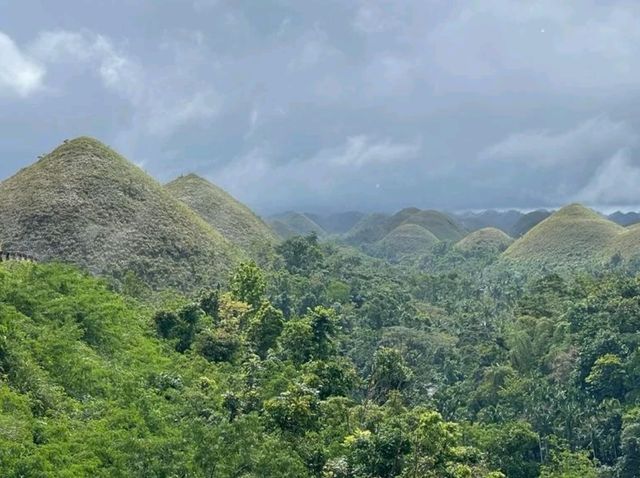 🍫薄荷朱古力山⛰