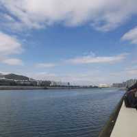 石門安景街櫻花