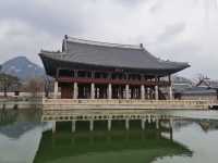 A must visit while in Seoul 