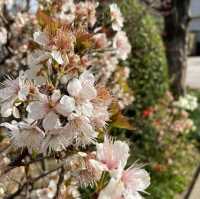 【福岡】PayPayドーム近くの寺院巡り
