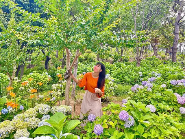 울산의 숨은 수국 핫플 💐 동화속같이 예쁜 수국정원💖