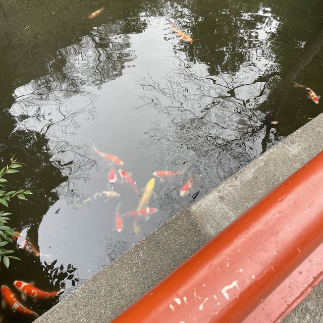 鶴ケ岡八幡宮⛩