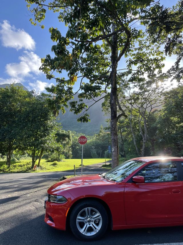 하와이 최대 수목원 호오말루히아 보태니컬 가든🌳🍃