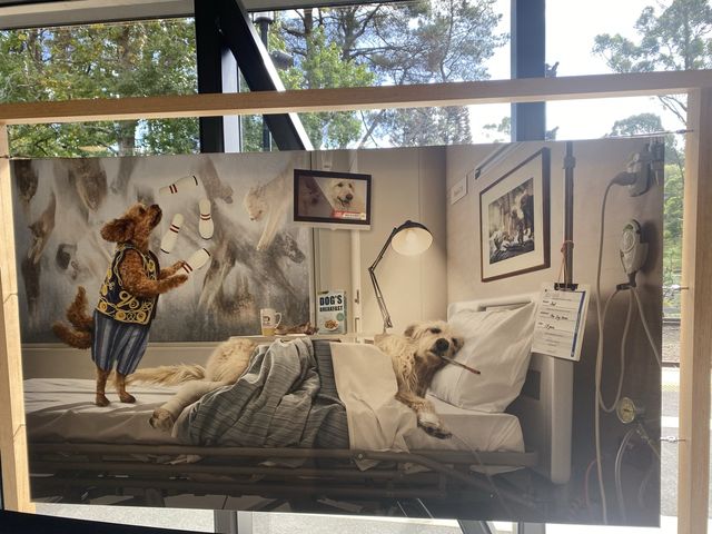 墨爾本Lakeside 藝術展覽