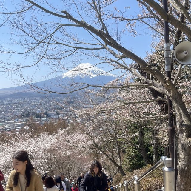 Mount Fuji view with pagoda! 