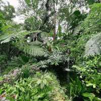 ร้านคาเฟ่สไตล์ในสวนกลางใจเมือง - ขมิ้น