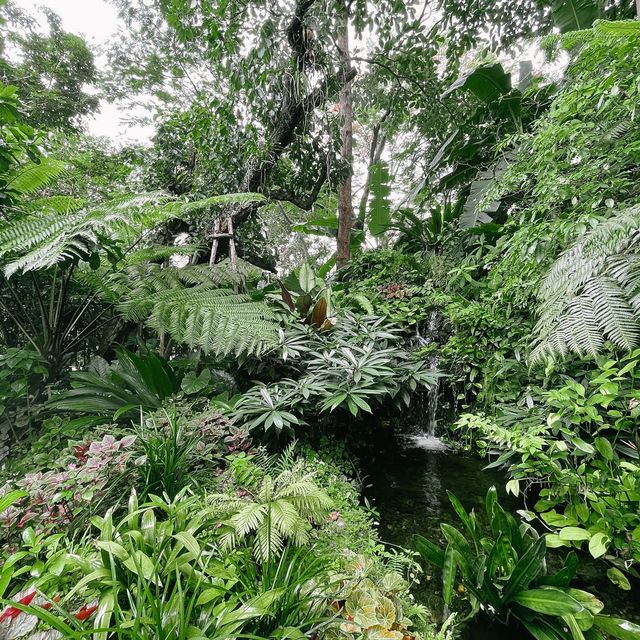 ร้านคาเฟ่สไตล์ในสวนกลางใจเมือง - ขมิ้น