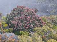 ⛰️ Mount Kinabalu Adventures: Part 1
