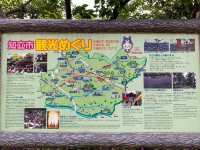 เทศกาลดอกไอริส "ฮานะ-โชบุ" 🪻