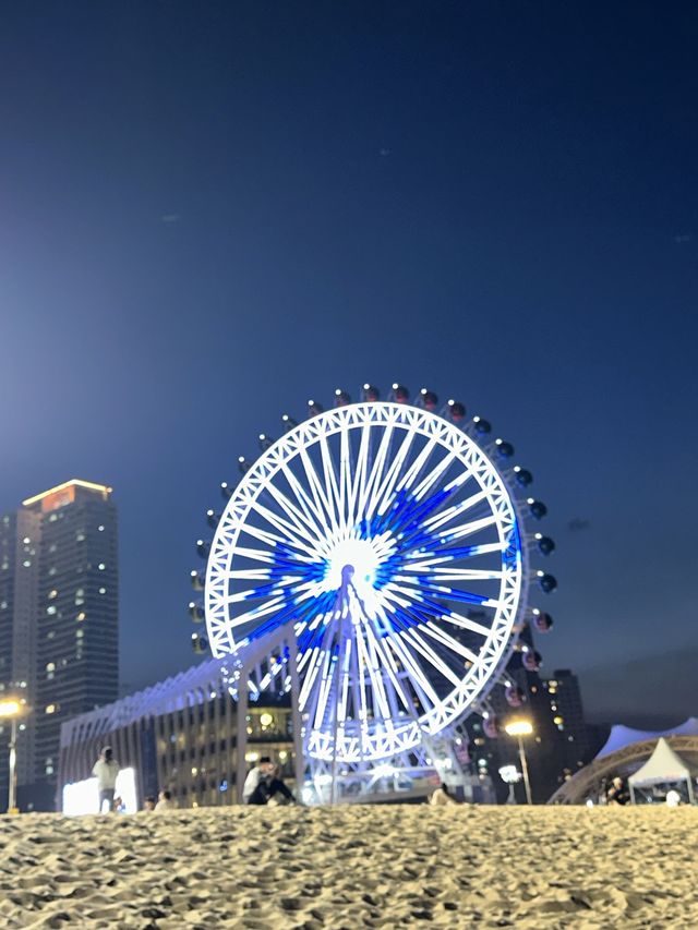동해에 런던 아이가..? 속초아이🎡