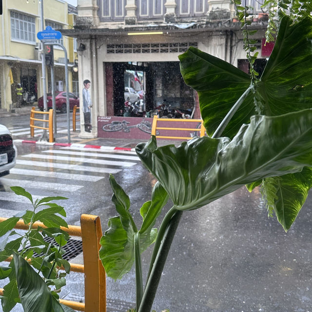 Great coffee spot for plant fans 🍀🌿🌱