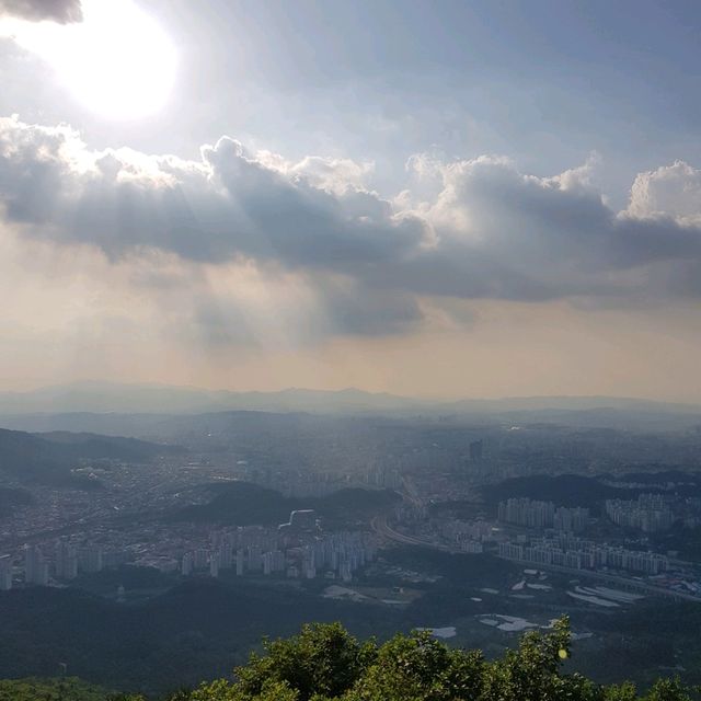 두근두근여름휴가 대전 식장산 해돋이전망대